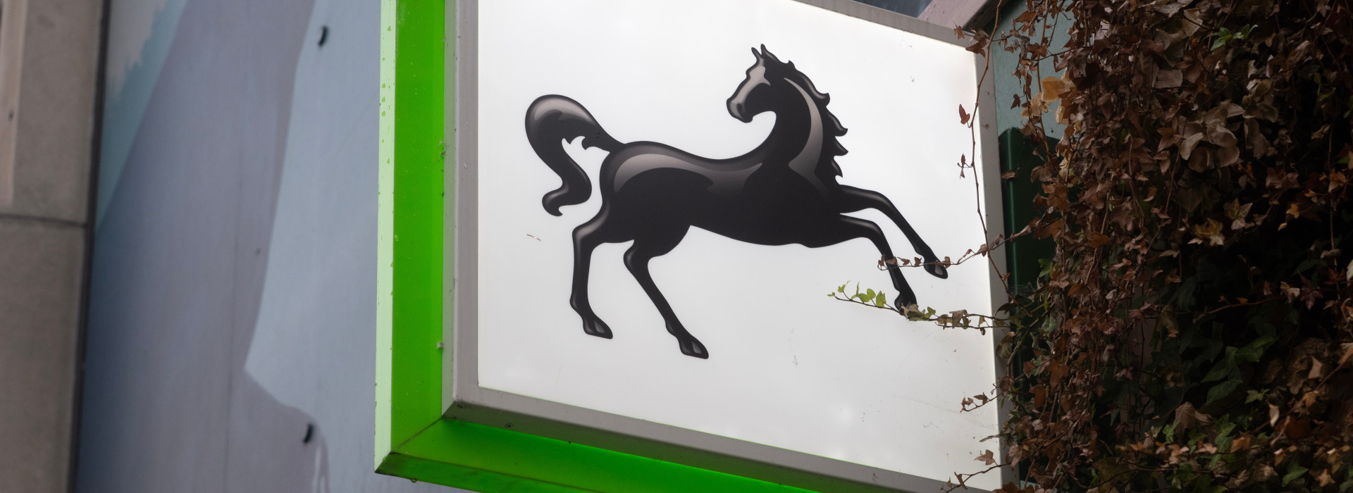 Black Horse Branch Sign